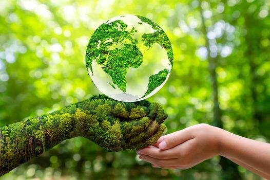 Environmental Training and Awareness Programs